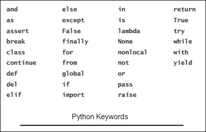 data types and variables in python